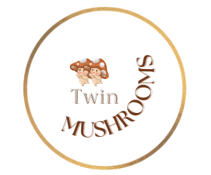TwinMushrooms 